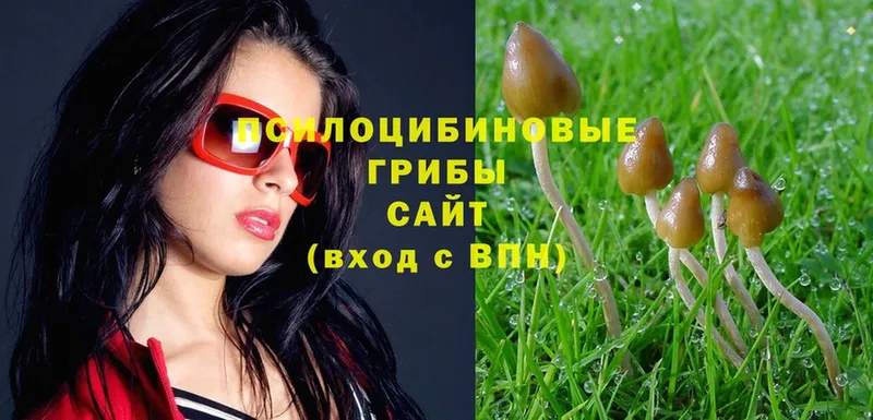 Галлюциногенные грибы Magic Shrooms  Партизанск 